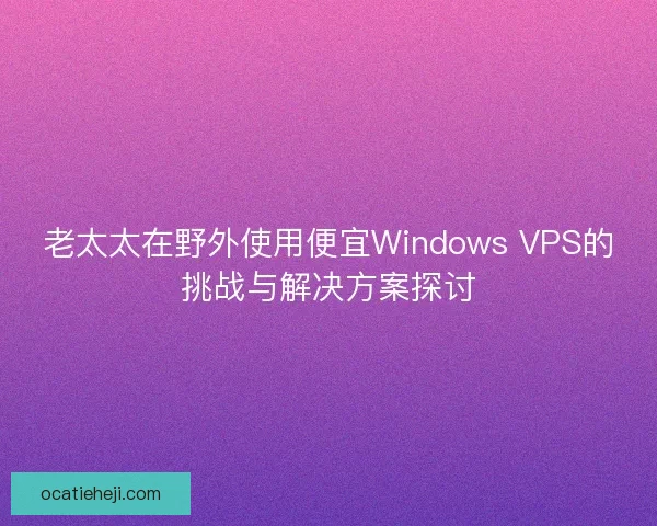老太太在野外使用便宜Windows VPS的挑战与解决方案探讨