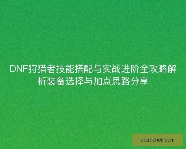 DNF狩猎者技能搭配与实战进阶全攻略解析装备选择与加点思路分享