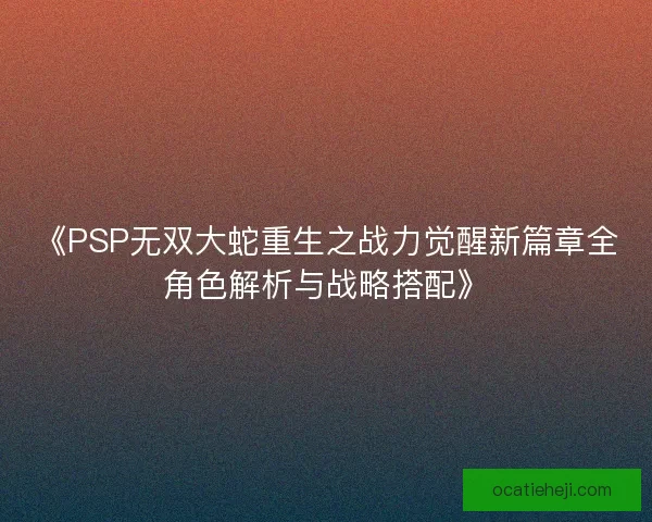 《PSP无双大蛇重生之战力觉醒新篇章全角色解析与战略搭配》